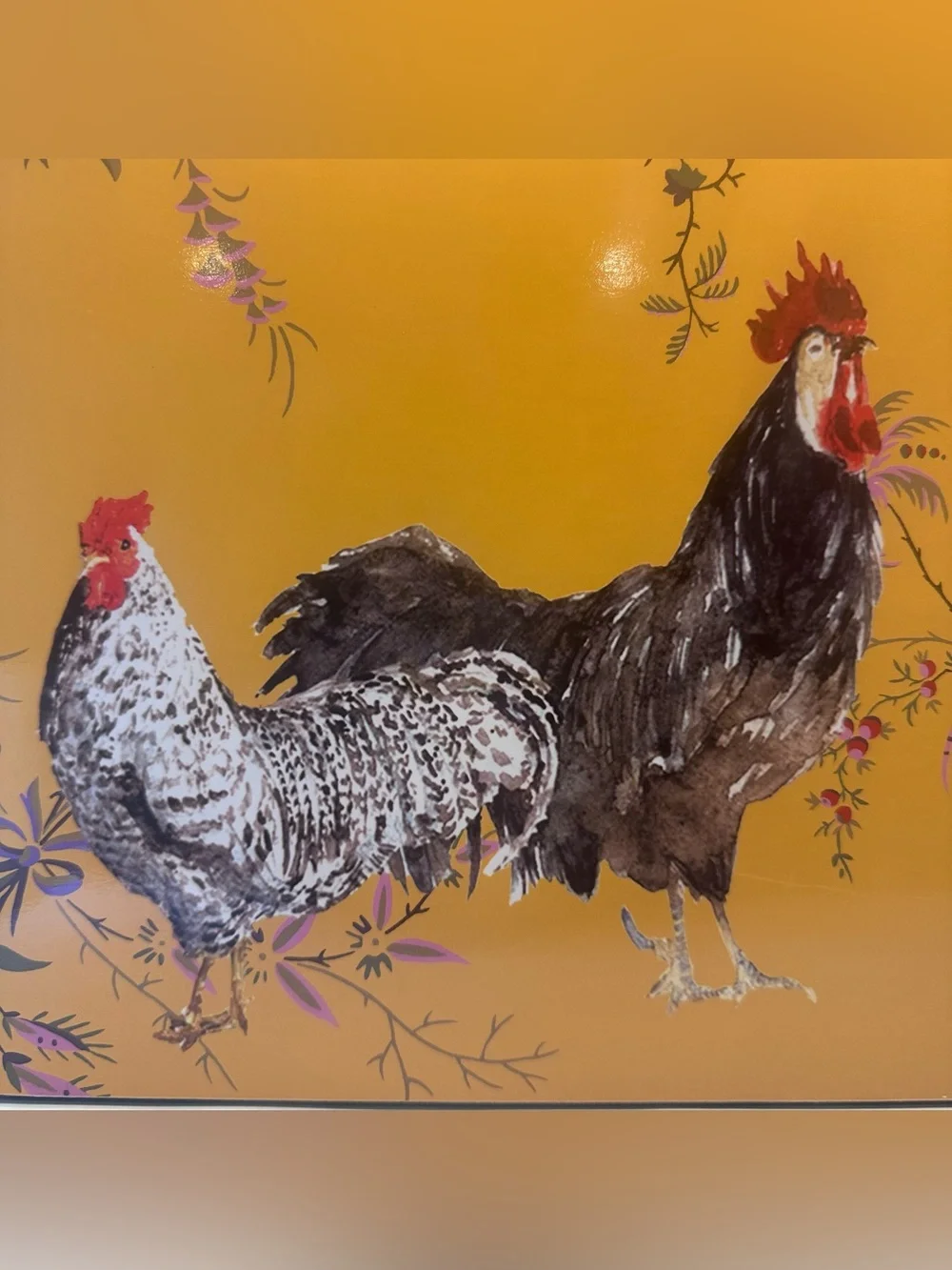 Williams-Sonoma Rooster Francais Cork Backed Hard Placemats Set of 2 16x12 in